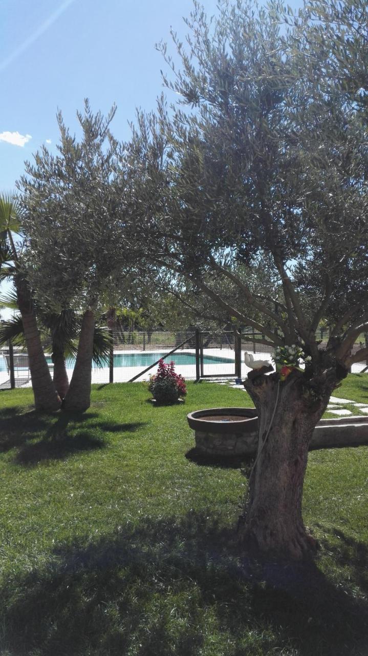 Agriturismo San Gallo Strassoldo Екстериор снимка