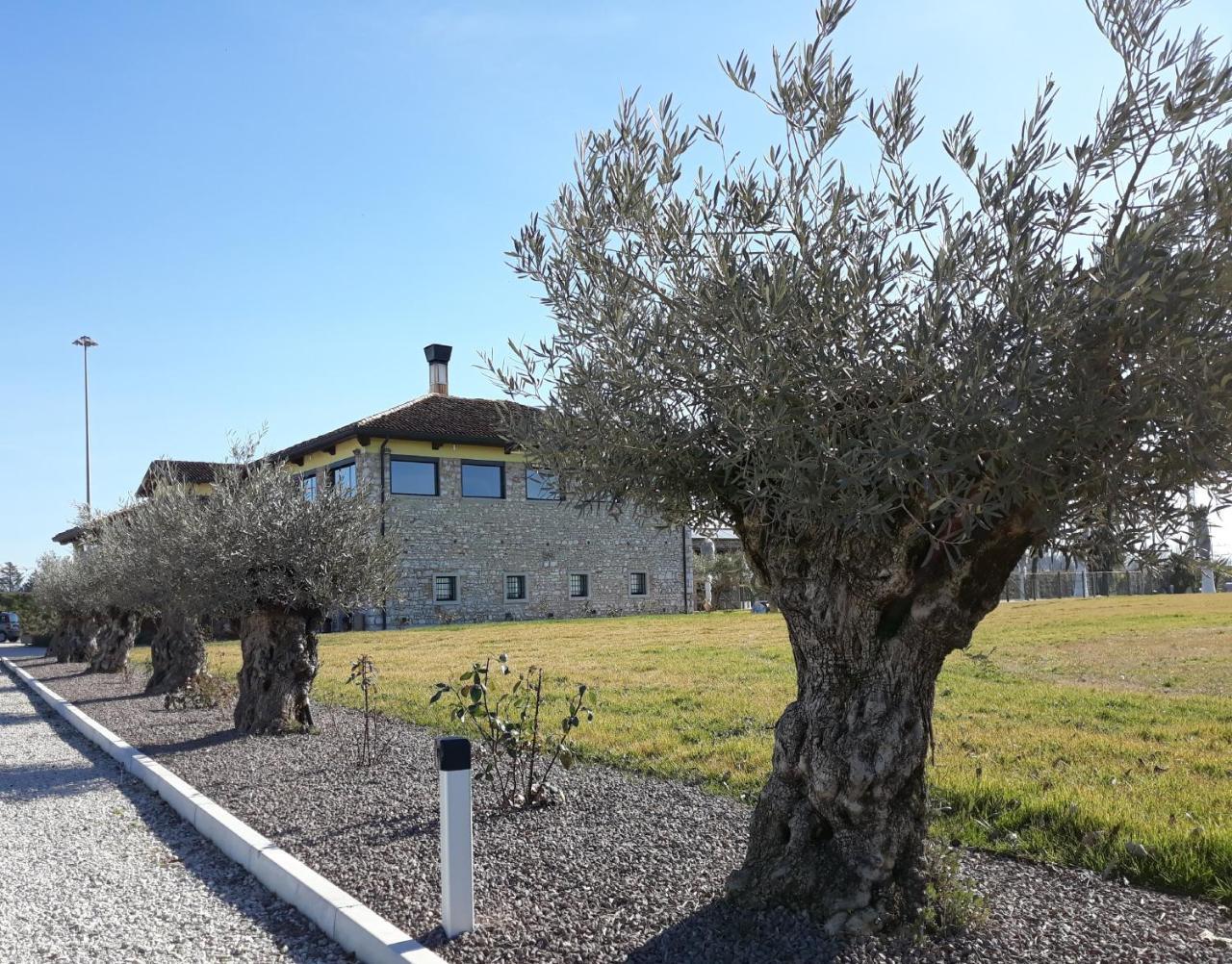 Agriturismo San Gallo Strassoldo Екстериор снимка